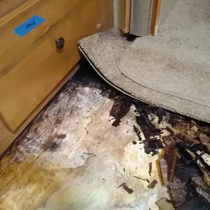 Best Wood Floor Water Damage Service in Cahokia, IL